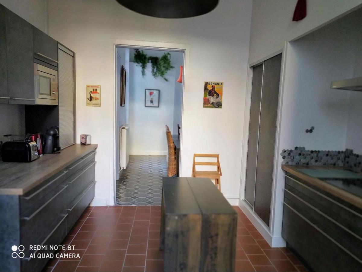 Le Selamat, Logis Xxl Au Calme Avec Terrasse Carcassonne Exterior photo